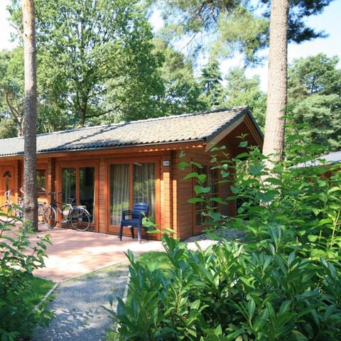 Chalet 6 personen - Boekhorst