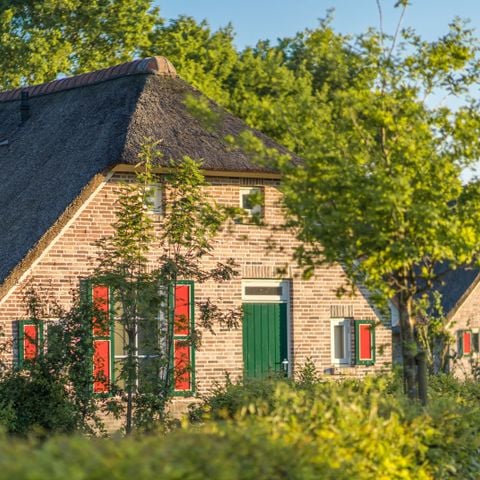 Bungalow 6 personen - Luxe Vakantieboerderij