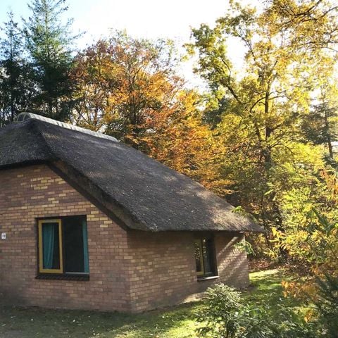 Bungalow 6 personen - Veluwe