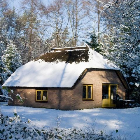 Bungalow 6 personen - Veluwe