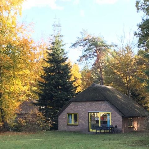 Bungalow 6 personen - Veluwe