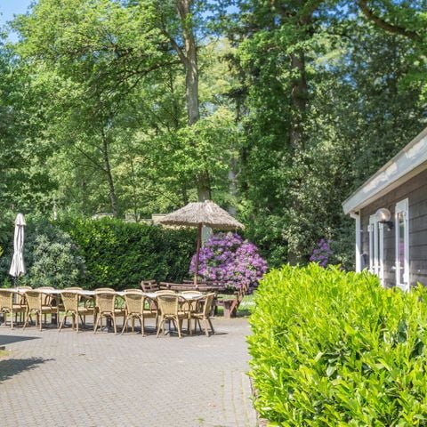 VAKANTIEHUIS 16 personen - Schaapskooi