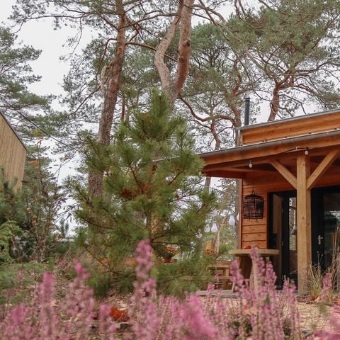 UNIEKE ACCOMMODATIE 4 personen - Tiny house