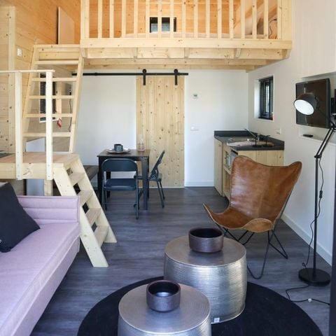 UNIEKE ACCOMMODATIE 4 personen - Tiny house Plus