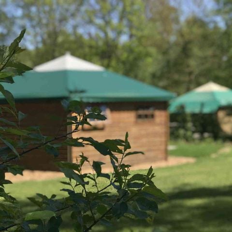 Lodge 6 personen - Kampeerhut