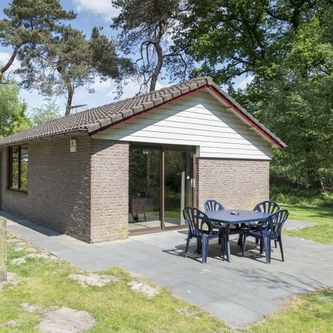 Bungalow 4 personen - Bosbungalow Heidewachtel