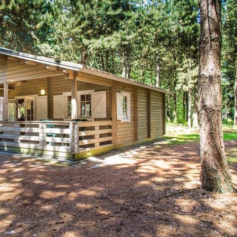 Lodge 4 personen - Lodge Forest