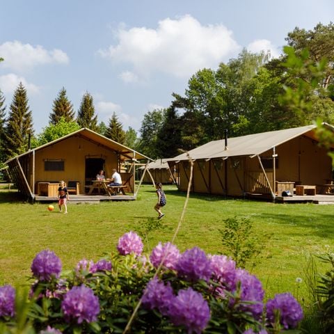 Safaritent 6 personen - de Wold Lodge