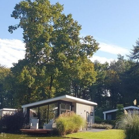 Bungalow 4 personen - Bos Lodge 55 met Jacuzzi