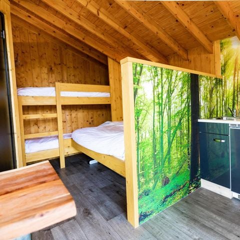 UNIEKE ACCOMMODATIE 4 personen - Tiny House met hottub