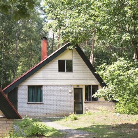 Bungalow 6 personen - Boschbeek