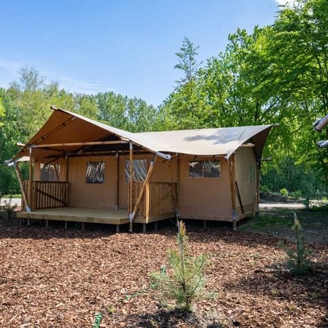 Tent 6 personen - Glampingtent 6